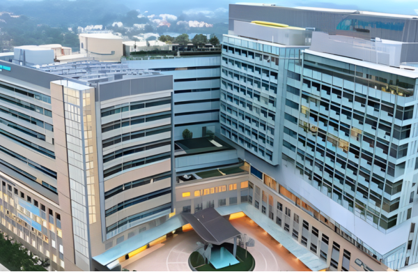 Mount Elizabeth Hospital